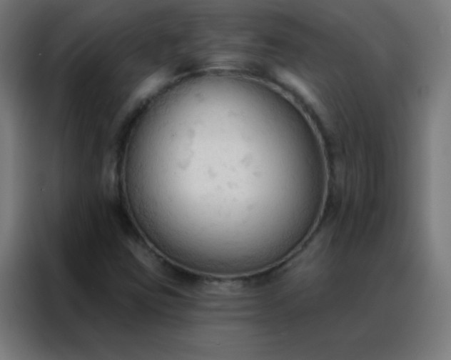 X0000088221403200705221754