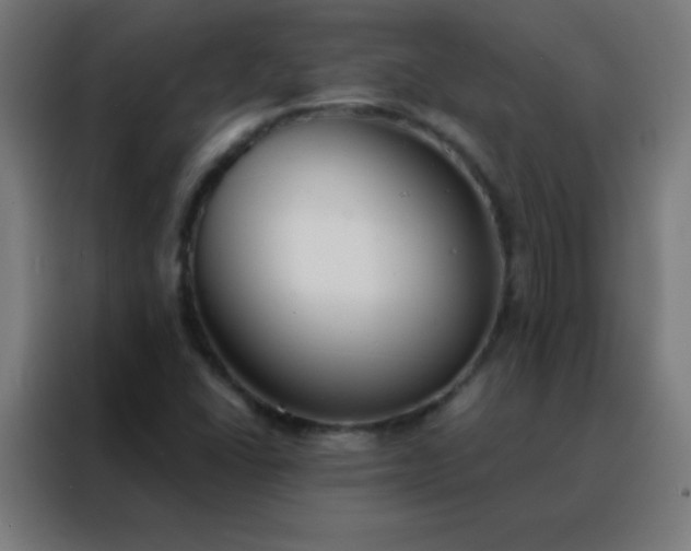 X0000088221406200705221754