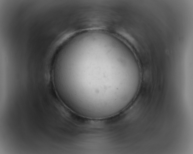 X0000088221407200705221754