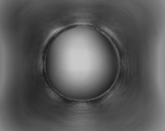 X0000088221408200705221754