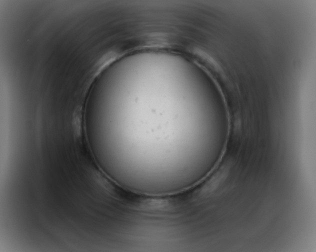 X0000088221409200705221754