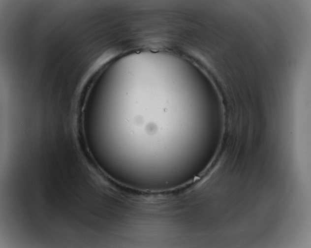 X0000088221410200705221754