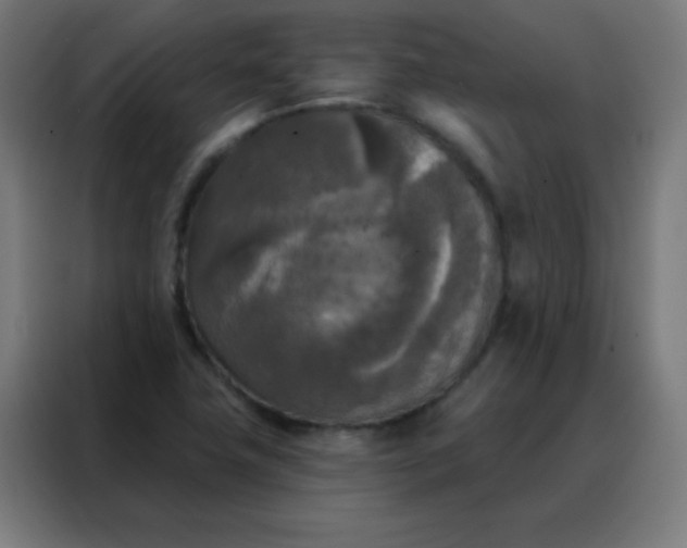 X0000088221411200705221754