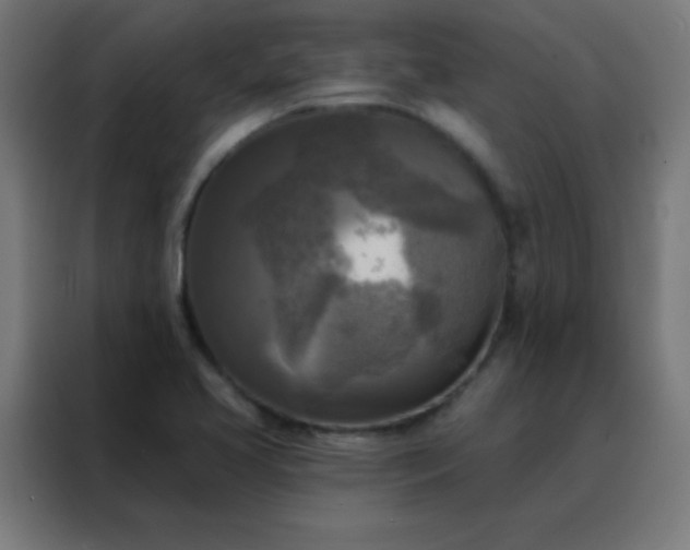 X0000088221413200705221754