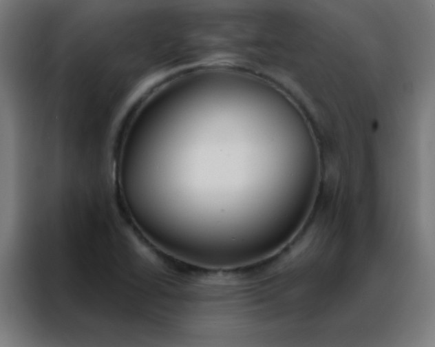 X0000088221414200705221754