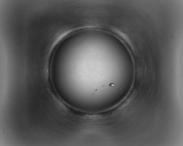 X0000088221415200705221754