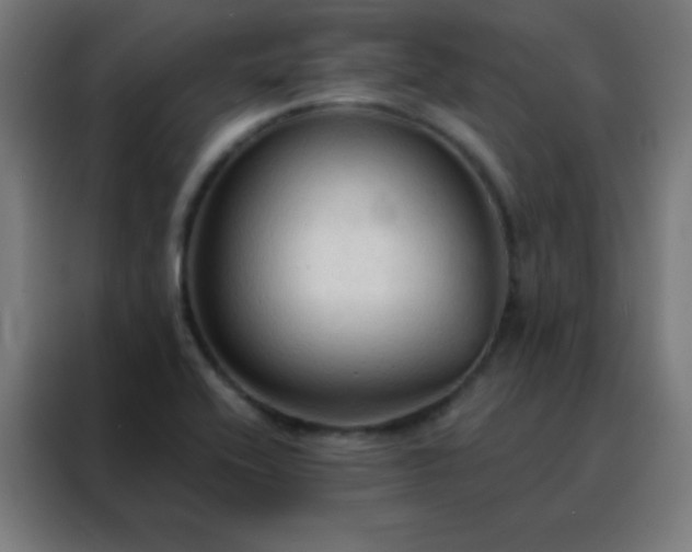 X0000088221416200705221754