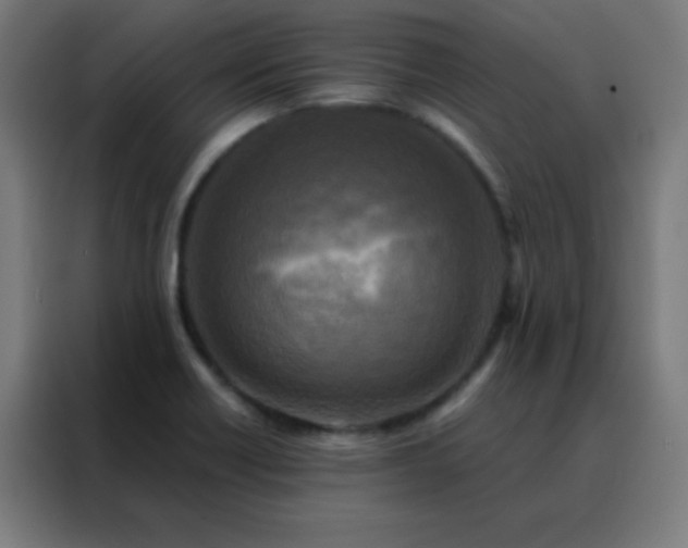 X0000088221418200705221754