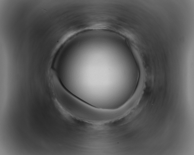 X0000088221422200705221754