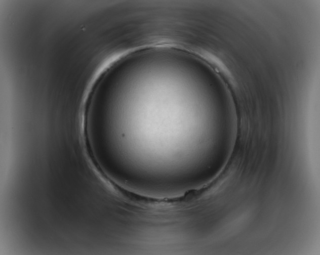 X0000088221424200705221754