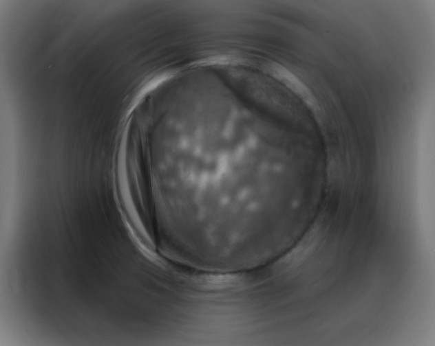 X0000088221425200705221754