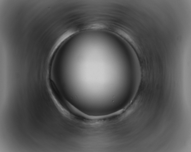 X0000088221426200705221754