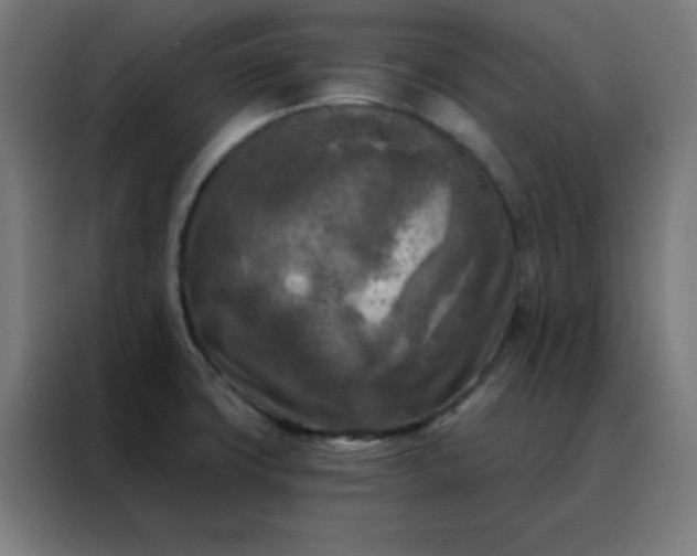 X0000088221427200705221754