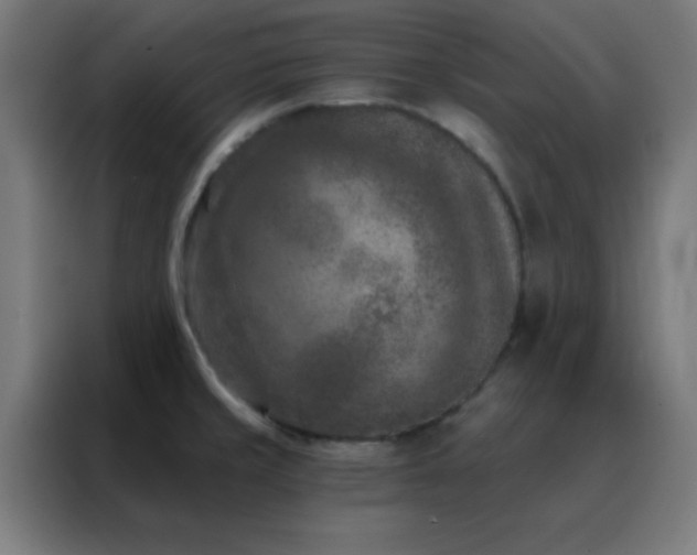 X0000088221429200705221754