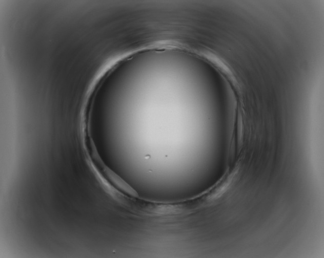 X0000088221430200705221754