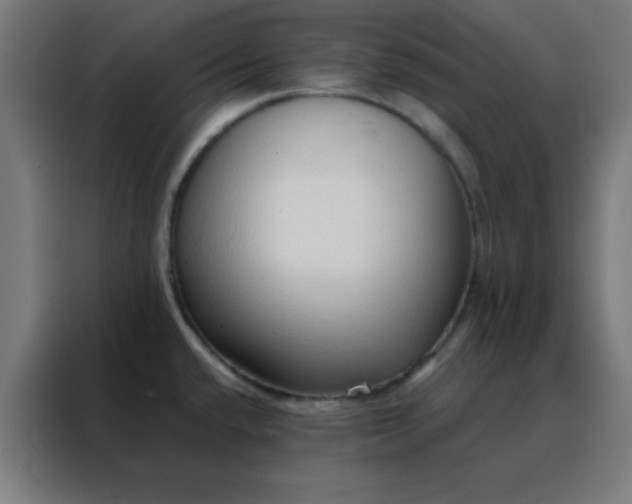 X0000088221432200705221755