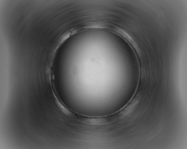 X0000088221433200705221755