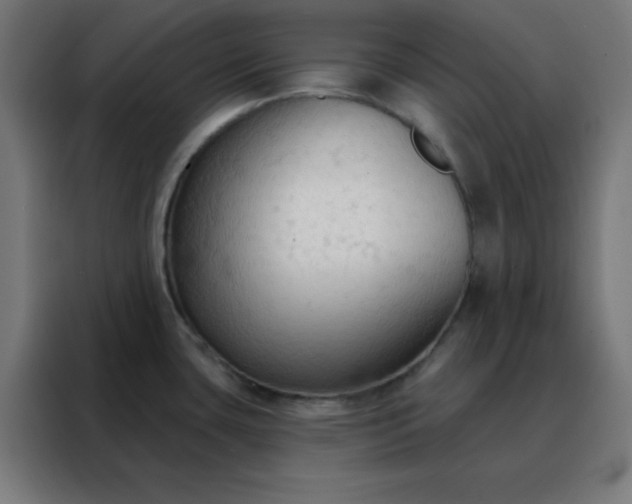 X0000088221435200705221755