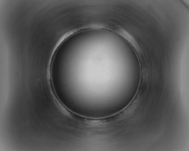 X0000088221436200705221755