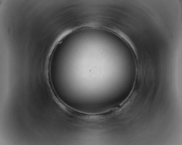 X0000088221437200705221755