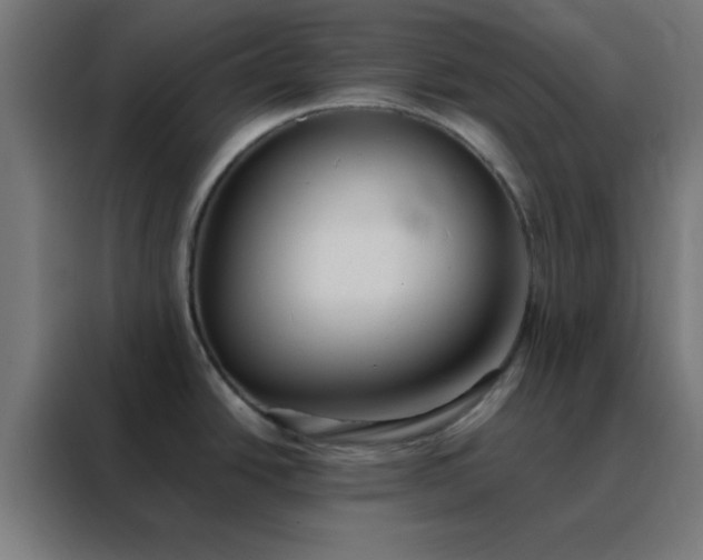 X0000088221438200705221755