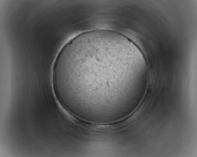 X0000088221439200705221755