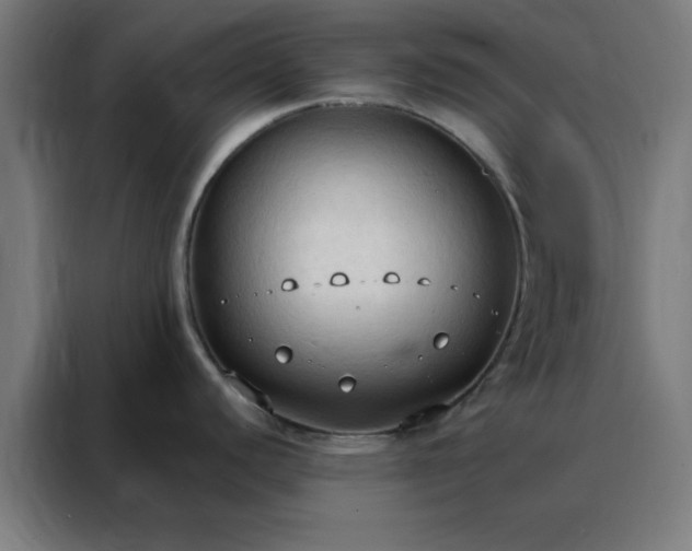 X0000088221440200705221755