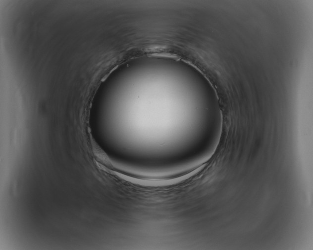 X0000088221441200705221754