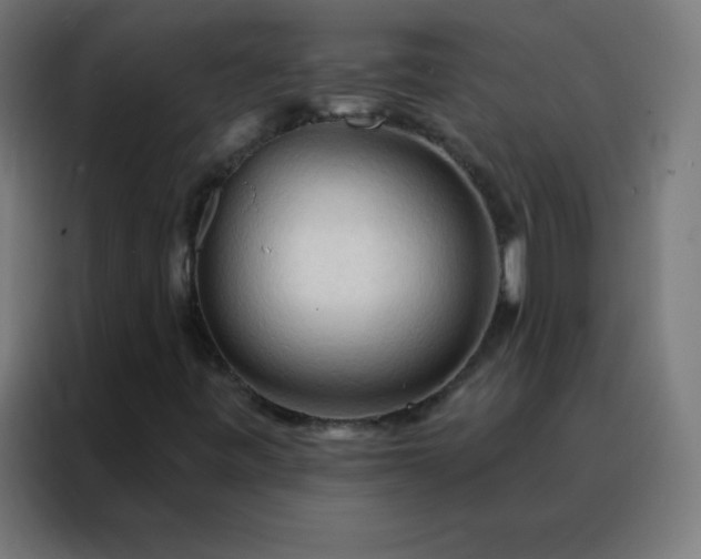 X0000088221443200705221754