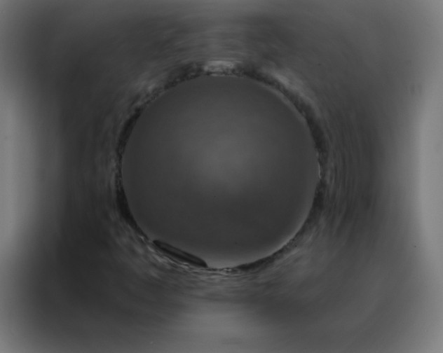 X0000088221445200705221754