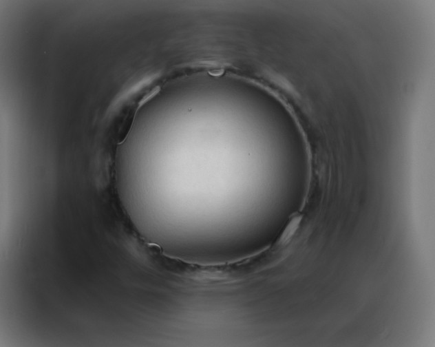 X0000088221448200705221754