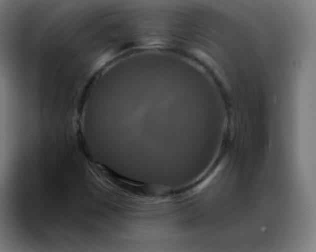 X0000088221449200705221754