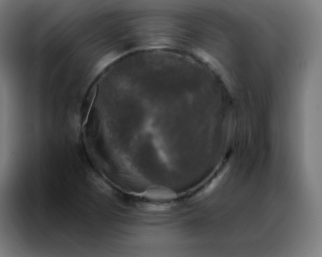 X0000088221457200705221754