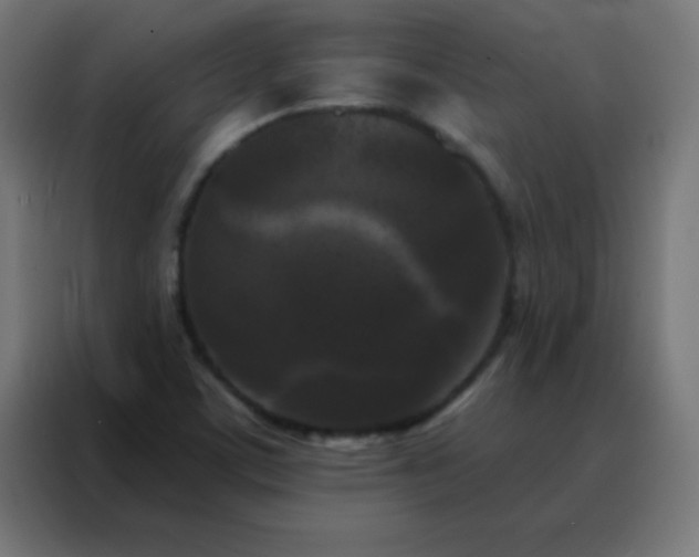 X0000088221459200705221754