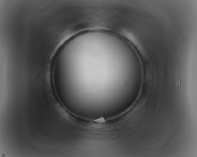 X0000088221460200705221754