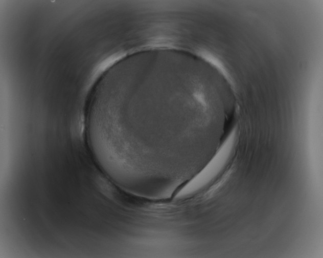 X0000088221461200705221754