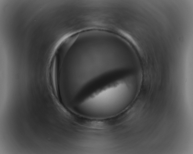 X0000088221463200705221754