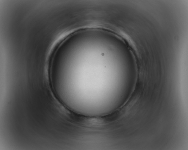 X0000088221464200705221754