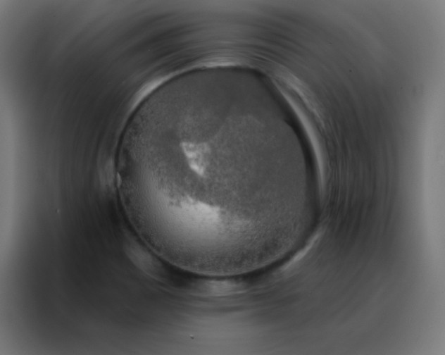 X0000088221465200705221754