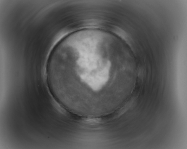 X0000088221466200705221754