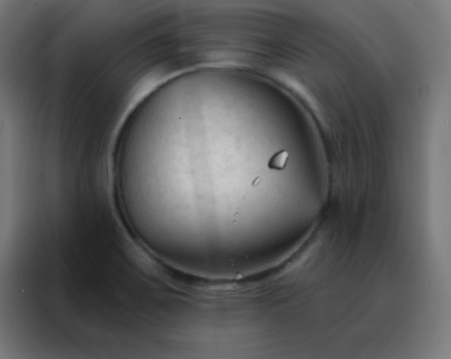 X0000088221467200705221754