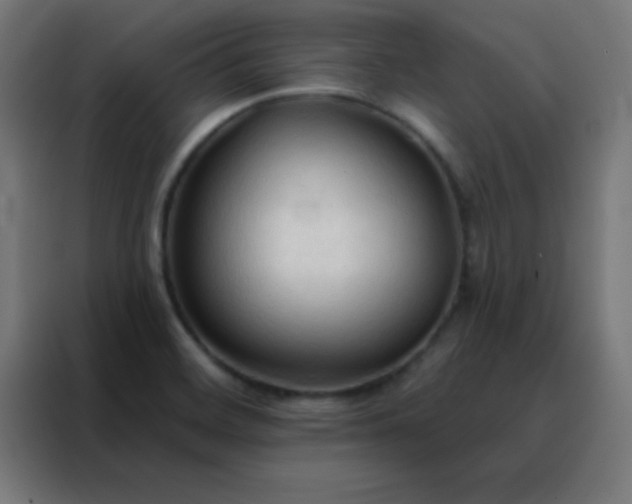 X0000088221468200705221754