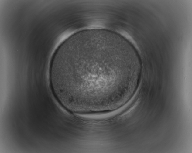 X0000088221469200705221754