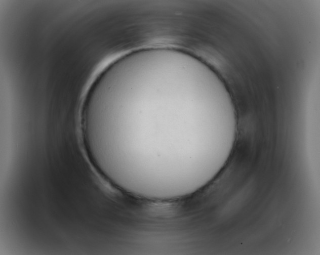 X0000088221470200705221754