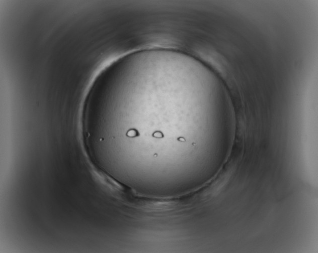 X0000088221471200705221754