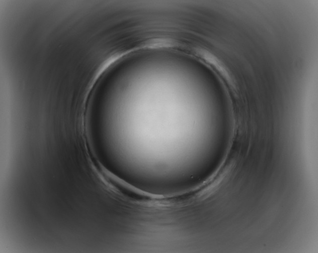 X0000088221473200705221754