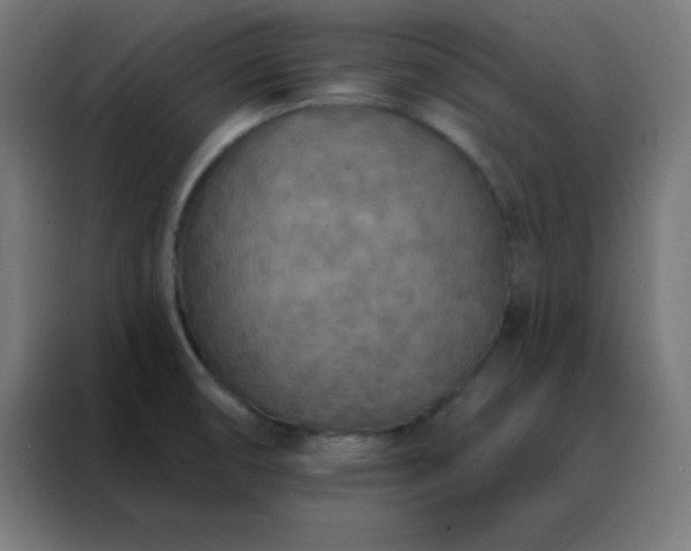 X0000088221474200705221754