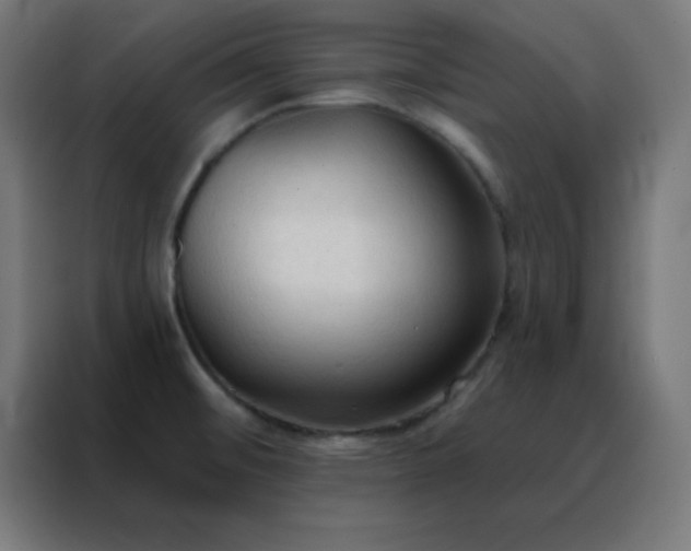 X0000088221476200705221754