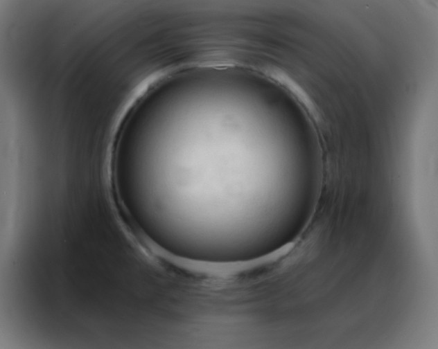 X0000088221477200705221754