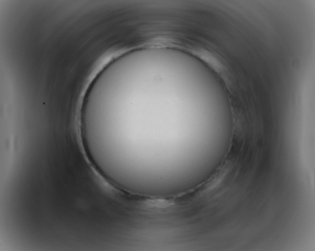 X0000088221478200705221754